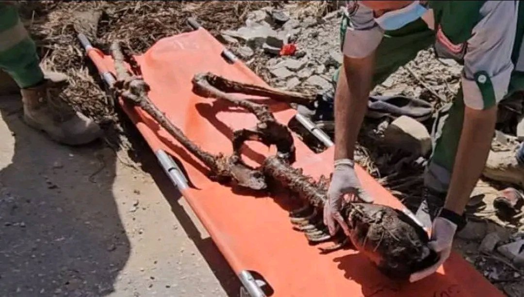 ۿُـنـا غَـزة يـا دُعـاة الأنـسـانـيـة