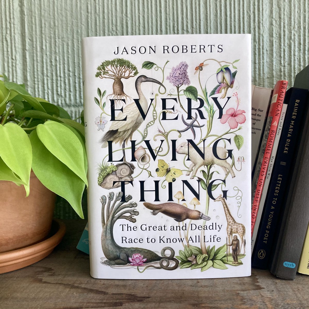 Officially less than a week until the release of EVERY LIVING THING, a nonfiction natural history caper written by my life partner <a href="/itsJason/">Jason Roberts</a>. Just look at this gorgeous cover! The writing is even better.  Preorder now: tinyurl.com/2fjbrvu7 <a href="/randomhouse/">Random House Group</a> <a href="/randomhouseca/">Random House Canada</a>