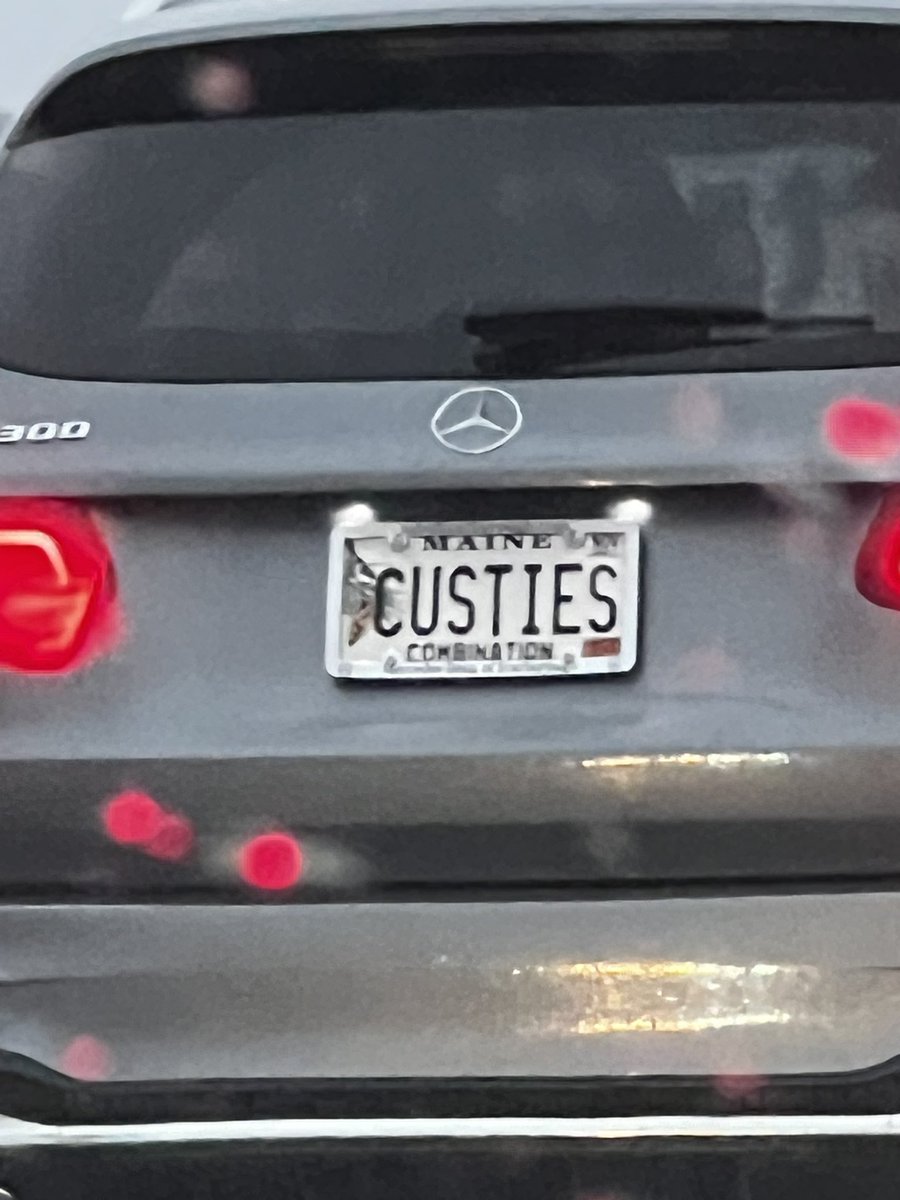 SilentTrees's tweet image. 👀