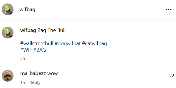 catwifbag tweet media