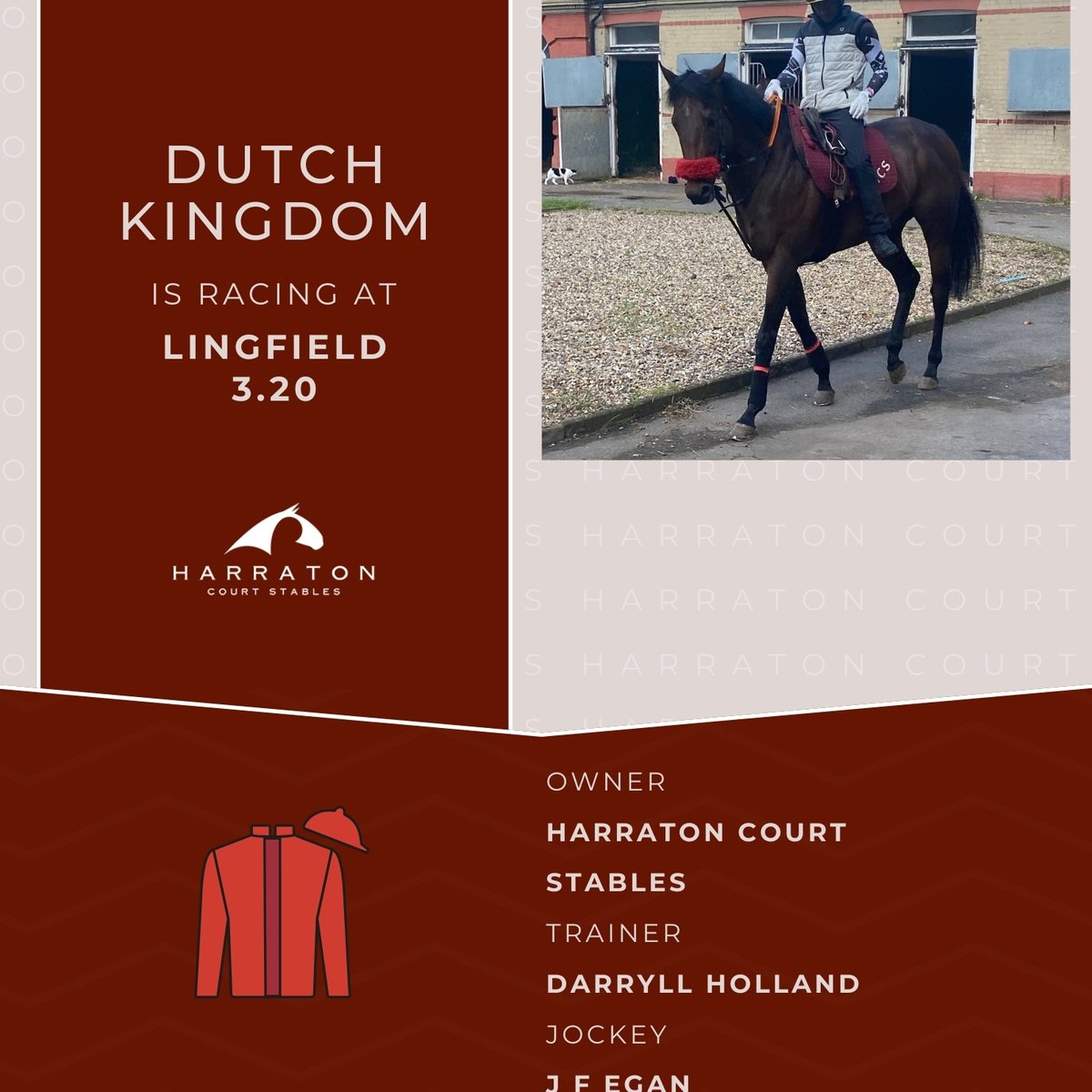 Dutch Kingdom is ready for Lingfield today 3.20! #HarratonCourtStables #DarryllHolland @johnegan1968 🍀#GoodLuck