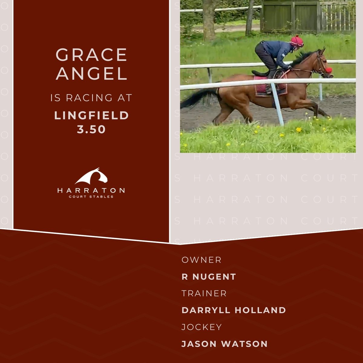Grace Angel is ready to conquer Lingfield at 3.50! Wishing best of luck to owner R Nugent, under the expert training of #DarryllHolland and skilfully ridden by jockey @_JasonWatson 🍀🤞
