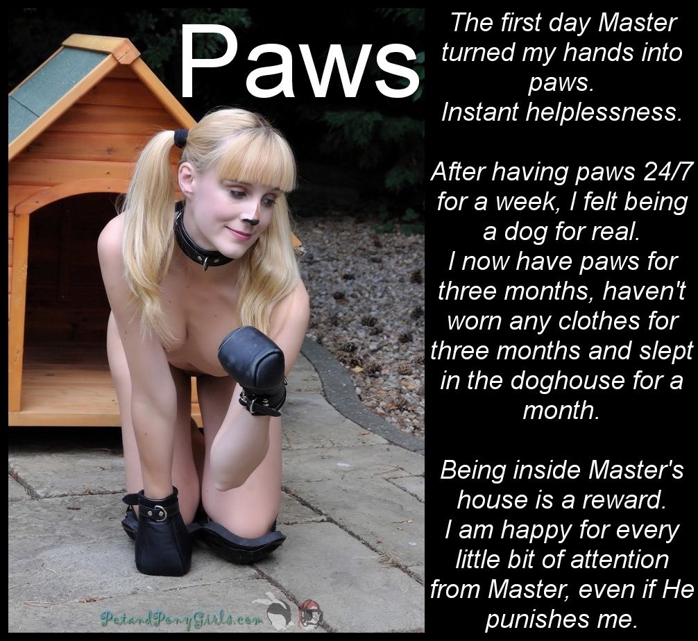 James_Lion_01's tweet image. 