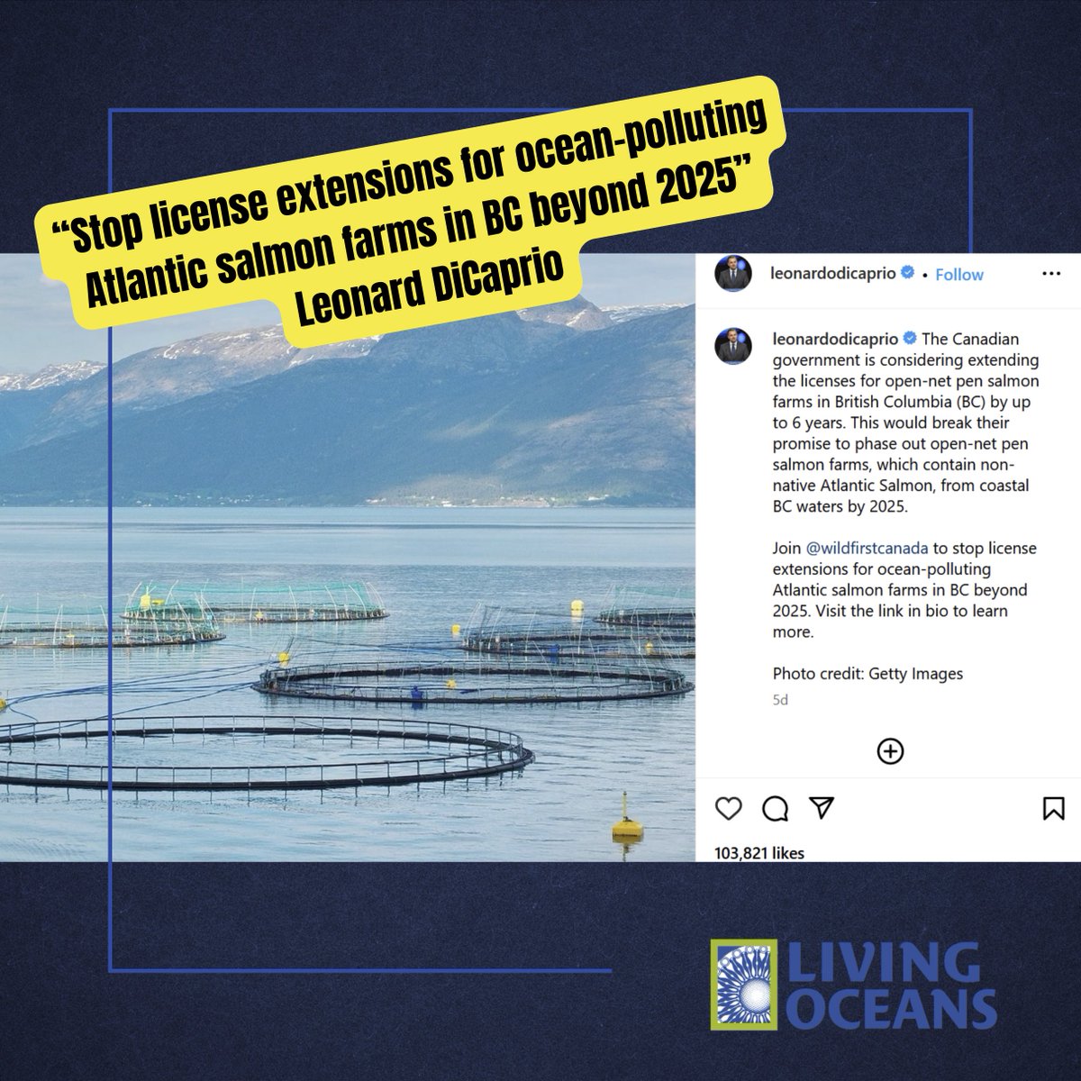 🙌@LeoDiCaprio has voiced his support for removing salmon farms from BC waters! 📢@JustinTrudeau the world is watching. It's time to keep your promise and remove salmon farms now. TAKE ACTION for wild salmon send a letter to the PM TODAY 👇 act.newmode.net/action/living-…