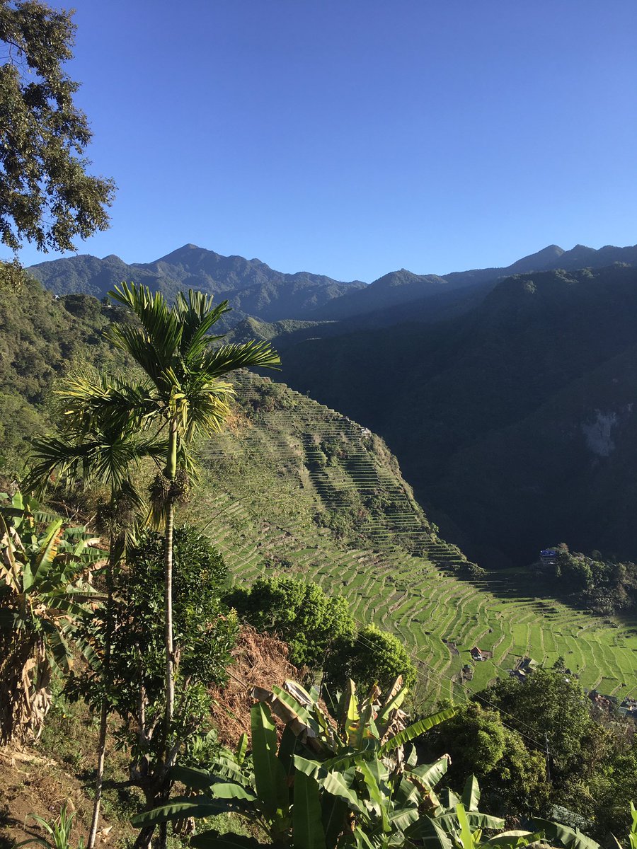 chapdeluc's tweet photo. Breakfast view right now in #Batad Ifugao mountains, Filipinas…
Vue et petit déj inclus, Batad, #Philippines 
@GagnonFrancois @jmdufaux @JessicaLapinski #GuruWalk 
@KayaOlay1 https://t.co/4yFzzcOAcG