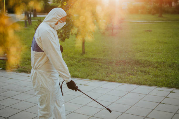 Don't let spiders, scorpions, or rodents ruin your day! Our pest control services are tailored to keep your home or business pest-free all year round. Watch this short clip for more information about Arizona Termite Pest &amp; Weed: ttps://bit.ly/3QkTHYA