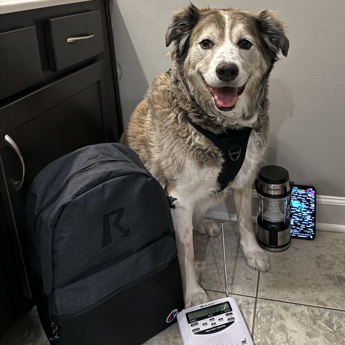 When severe weather strikes, Mia gets her harness on with her name & contact info and heads to the safest place in our home-interior room on the lowest level. We bring our NOAA Weather Alert Radio, phone, lantern & bag of supplies (with treats, of course🐶) #SafePlaceSelfie