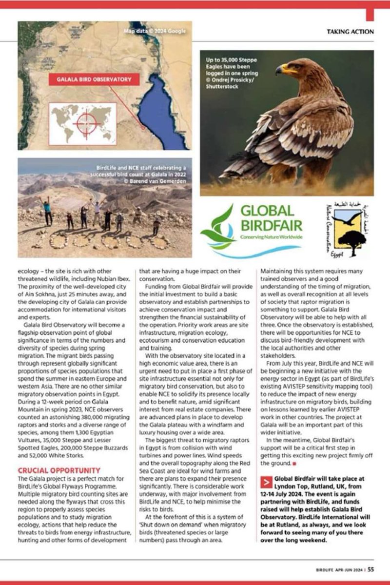 💚Global Birdfair is delighted to support @BirdLife_News 🧡Creating Brighter Futures in Egypt 😀YOU can help! 🎟️Join in this year’s event gbf.yourticketpurchase.com/p/globalbirdfa… Can’t make it? You can still support the project here 👉donate.stripe.com/28odRx4r52Pu8H… Thank you all for your support @_OSME