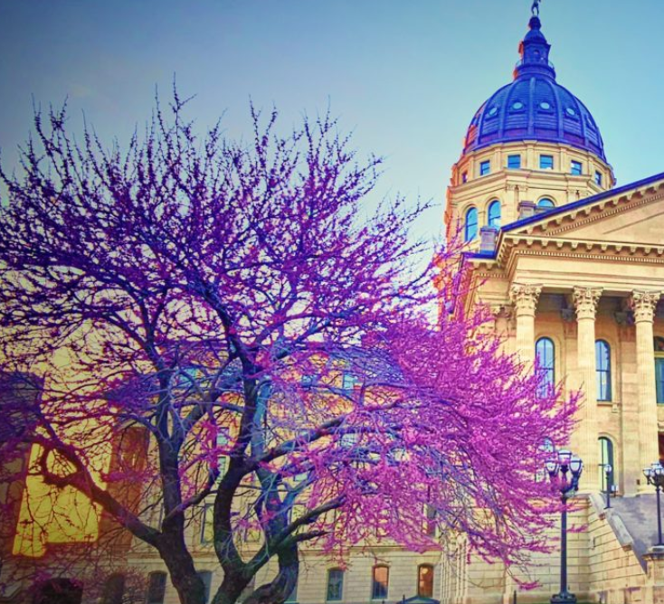 [TAKE ACTION NOW] Urge your legislators to OPPOSE SB 387, ITS GIMMICKS & FALSE PROMISES of funding special education in Kansas. The #ksleg is up to its late-session tricks. Tell them to oppose SB 387! bit.ly/3U2Im0F