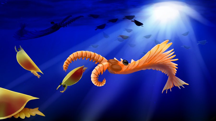 https://en.wikipedia.org/wiki/Anomalocaris#/media/File:Anomalocaris_ecological.png