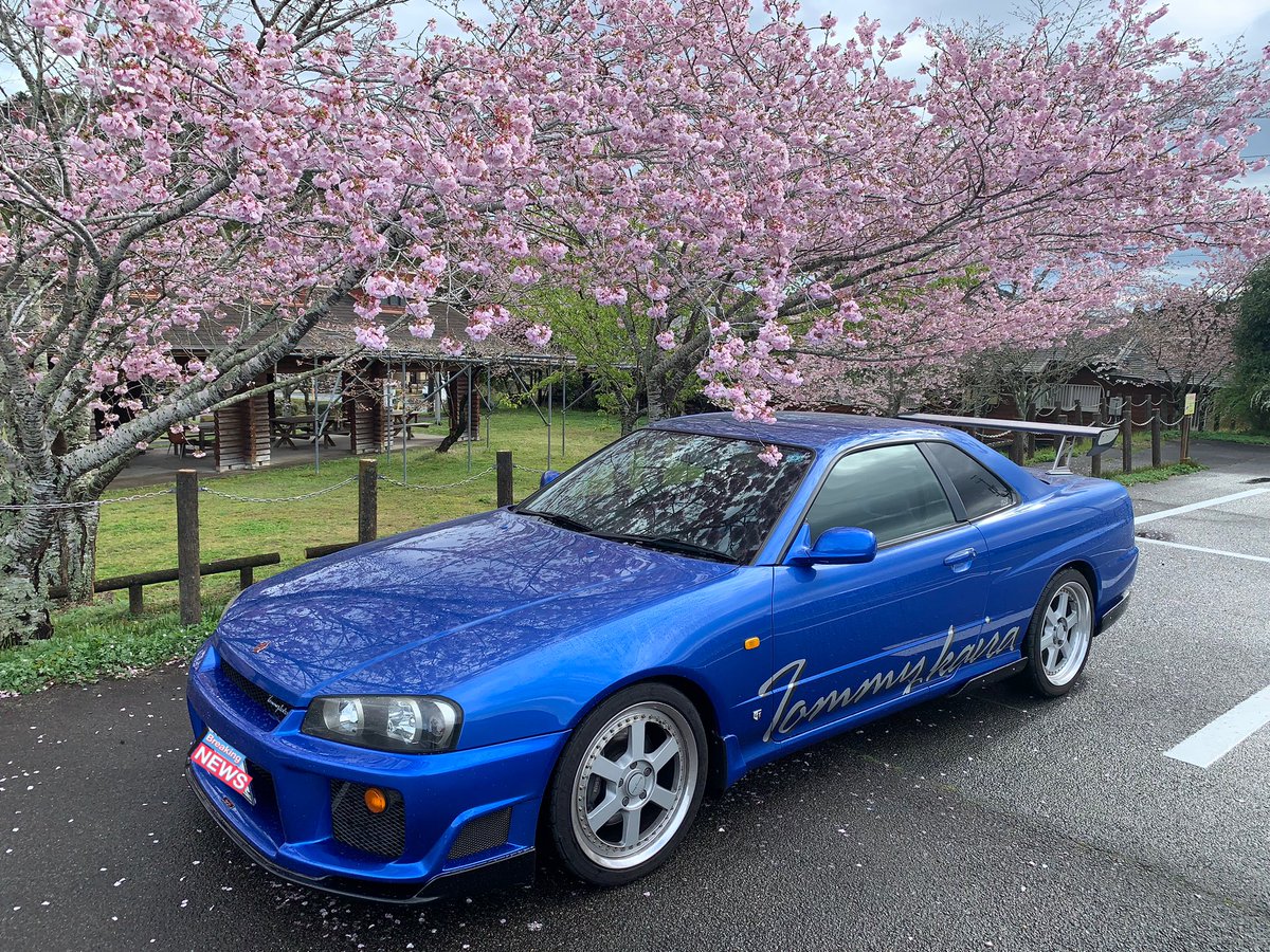 朝からサクラ🌸を見てきましたよ。 おチビ達もお花見🌸 田舎だね〜🥹 車汚くてごめんなさい🙇‍♂️ #手のひらに愛車を #トミーカイラ25R