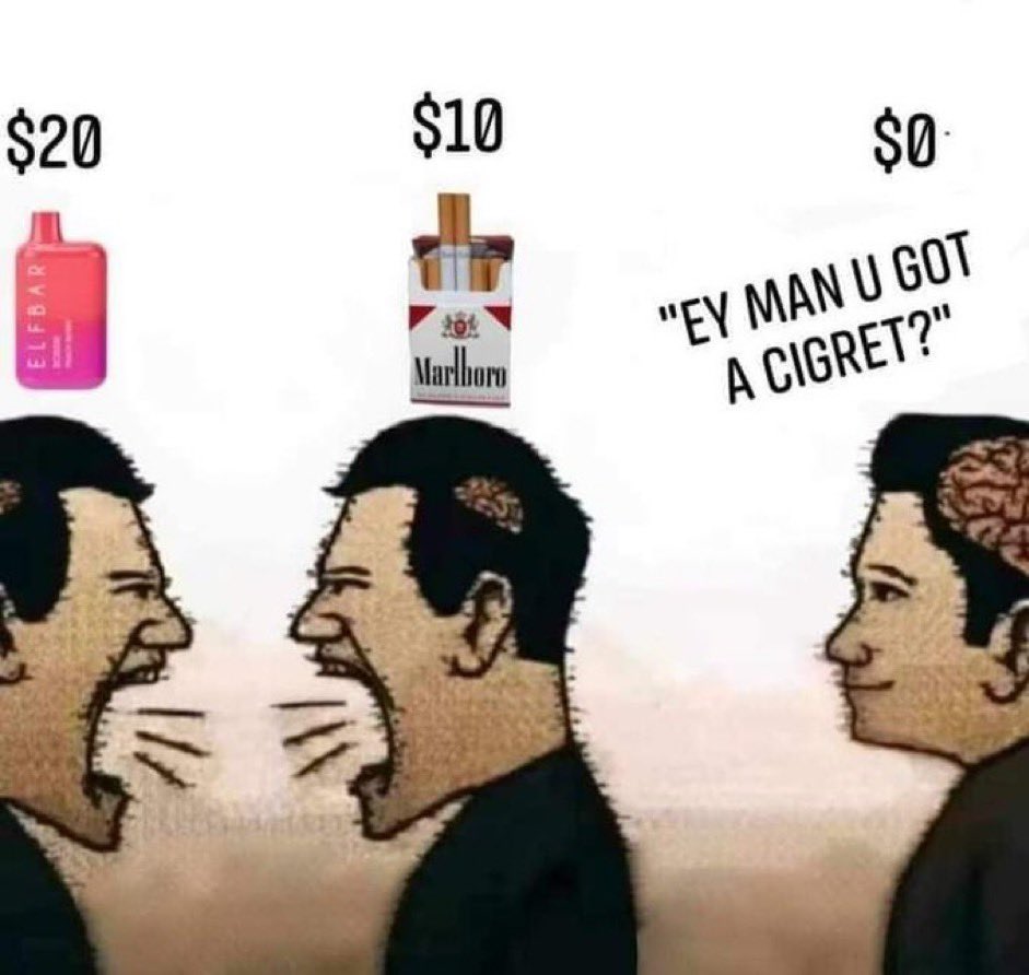 Perc 𒉭 tweet media