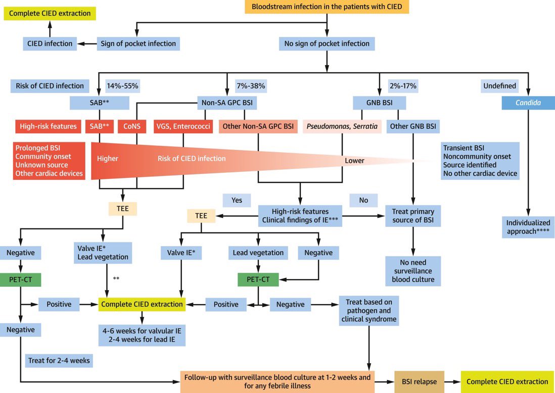 infeccHRUmalaga's tweet photo. Revision📚🤓 ENDOCARDITIS #DispositivosElectronicosImplantables, IMPORTANTE:
🕵🏻Si fiebre y dispositivo sospéchalo! Sobre todo si bacteriemia📸1
🛜☢️Algoritmo diagnostico📸2
🔪Muchas veces necesario retirar TODO el sistema, NO VALEN SOLO LOS ANTIBIÓTICOS📸2
https://t.co/6AKQ4ufzHH https://t.co/m4bKalk3sn