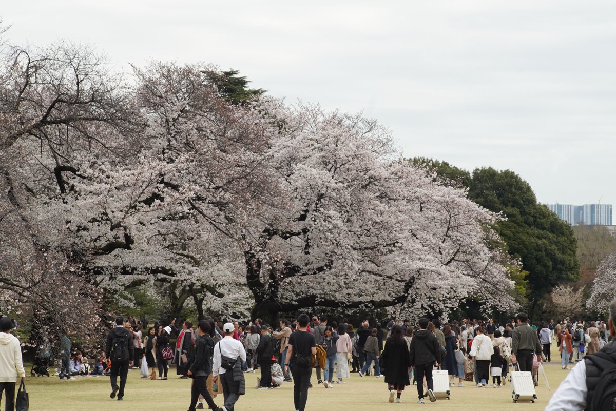 ラッキーカメラ店 tweet media