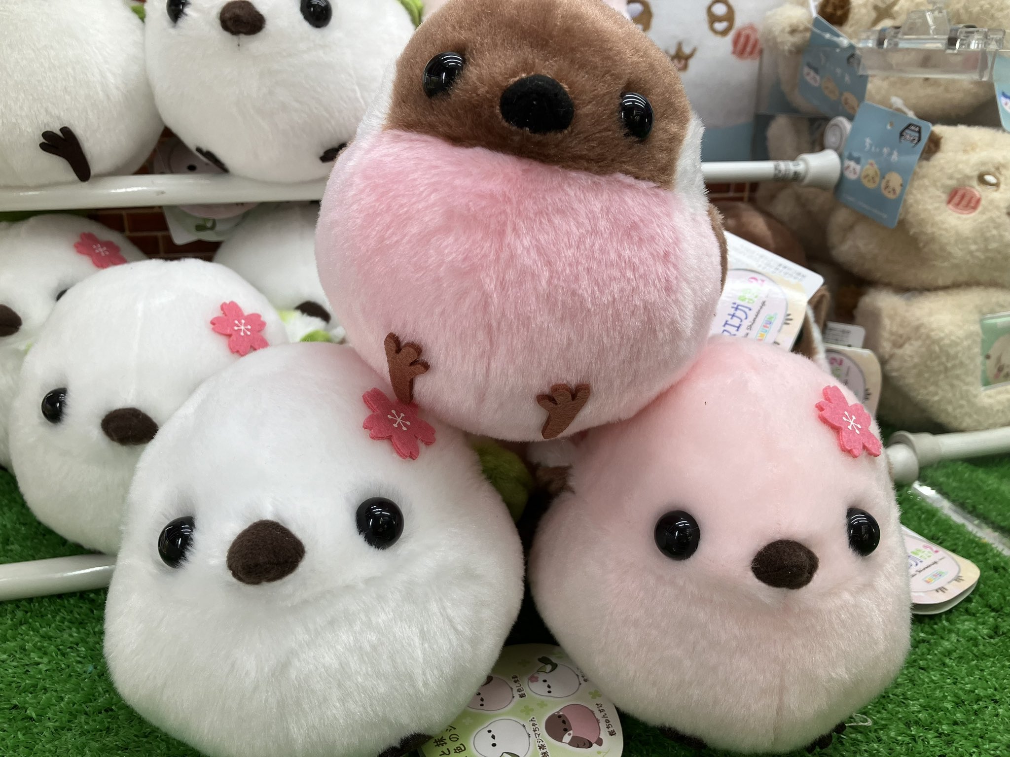 ふくふくシマエナガ 春色びより 桜 ちゅんすけ シマエナガ ふくふく