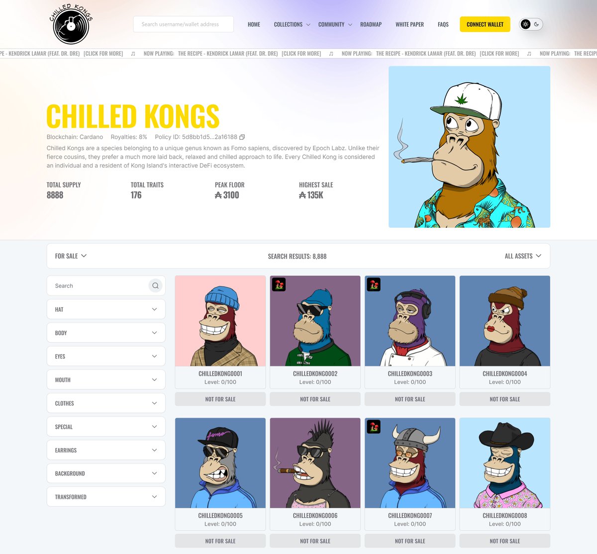 Chilled Kongs tweet media
