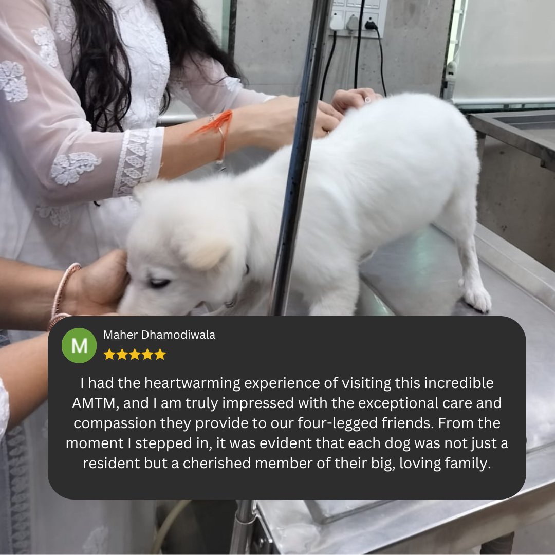 At AMTM we strive to make each furry friend feel cherished, ensuring they are not just residents, but beloved members of our #family. Your #support enables us to continue providing exceptional care to our four-legged companions. Thank you for the kind words Meher🙏🏼 #testimonial