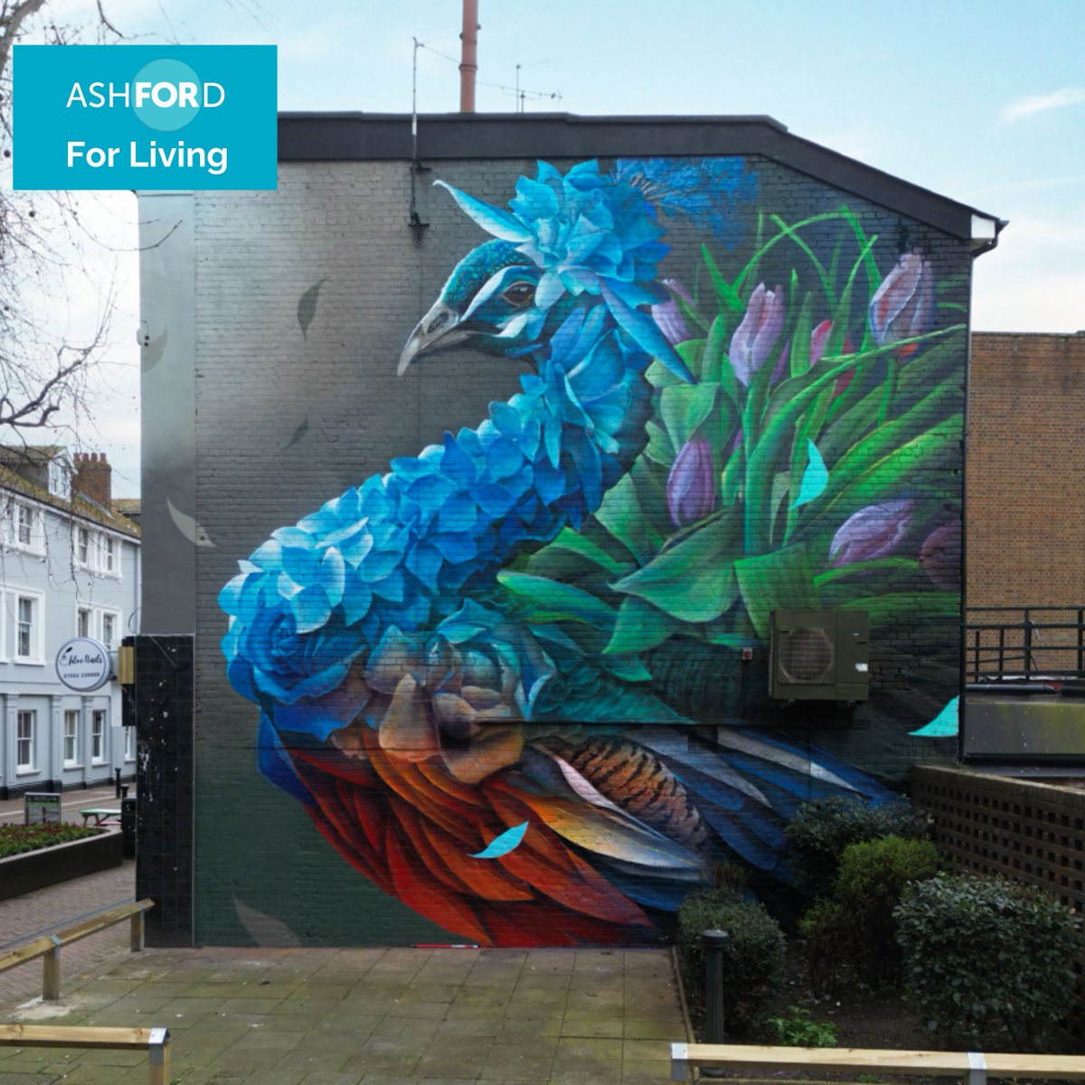 Introducing Proud Peacock, Bahar Flowers, by Curtis Hylton. The latest mural to join the Ashford's collection of street art. The project links into key themes from @AshfordCouncil 's Town Centre Reset . Discover more about the project: orlo.uk/Iu0c2