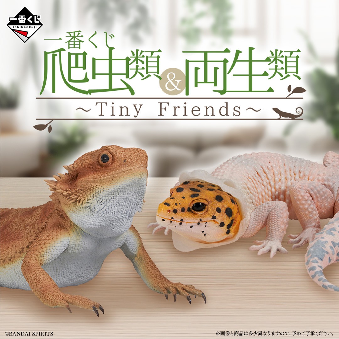 私と会ったことある方にお願いがあります。 覚えていたらでいいのです