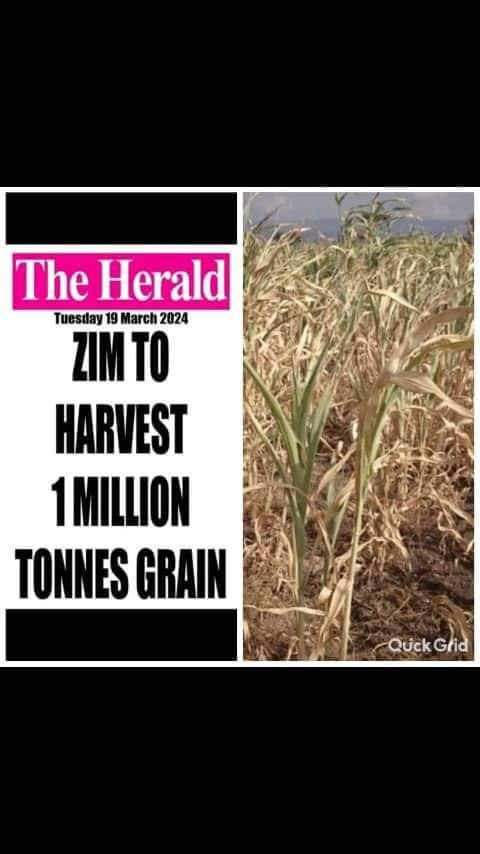 Zimbabwe has declared a state of emergency on food security barely a month after assuring the nation that food stocks were in excess. There is need to provide correct information to strengthen disaster mitigation efforts.