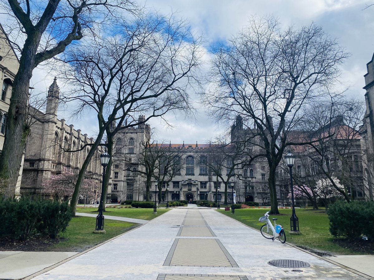 Jing Wang tweet media