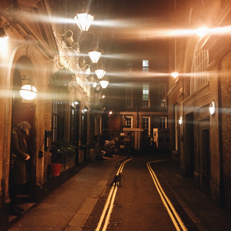 #WeAreAlumniUK London night fox near Trafalgar Square