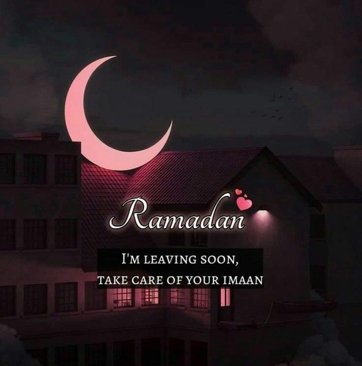 sadiarealx's tweet photo. Asslamu Alaikum X family 🎗🦋
25th Ramadan Mubarak 💞🫶

#Ramadan #topchef #Taiwan https://t.co/wBVaJvhRZT