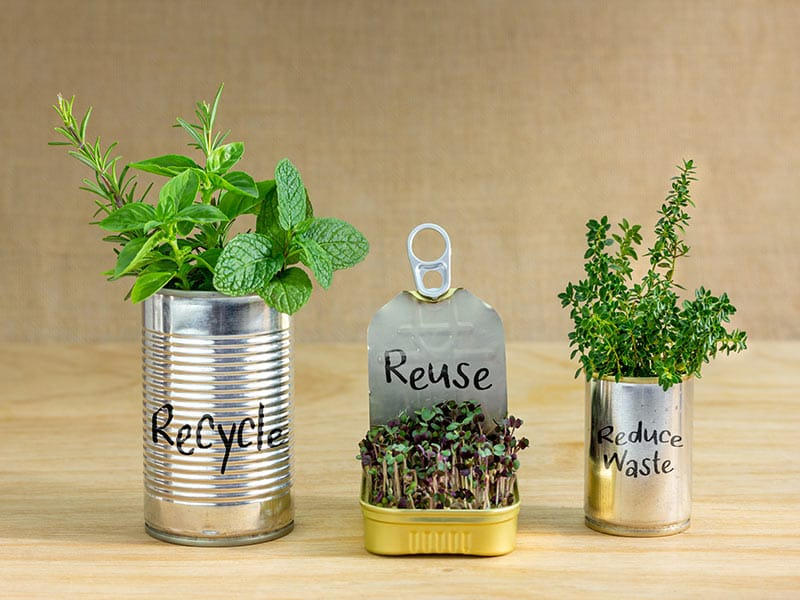 Eco_Renew_'s tweet photo. Did you know that by simply reusing your plastics, you can prevent the production of up to 100 new pieces? Every act of reusing makes a significant impact on reducing plastic waste. Let's all commit to sustainable practices for a greener future! β»οΈπ± #ReduceReuseRecycle #Ecorenew https://t.co/vQG9uzVuWF