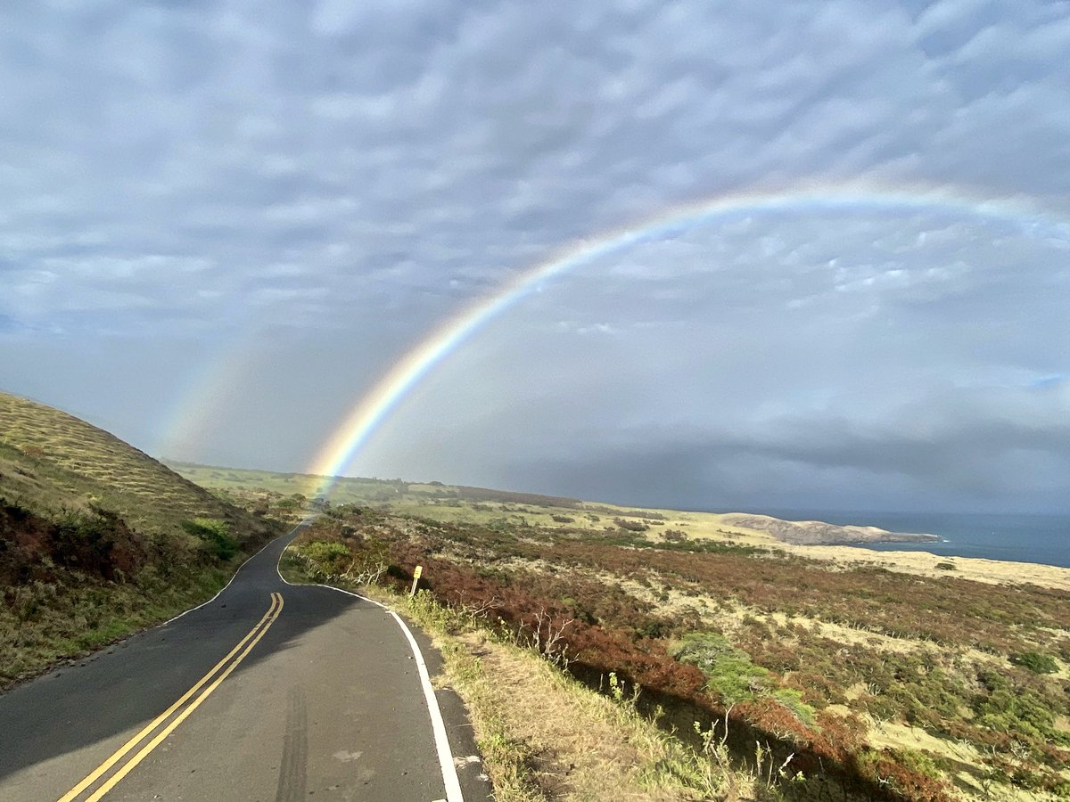 Take the road less traveled, because you never know what might be hiding just around the bend in Hawaii! 🤩🌈🌺✌️ #begreatful #theroadlesstraveled #stayadventurous #maui #oahu #kauai #bigisland #honoluasurfco #alohavibessince95