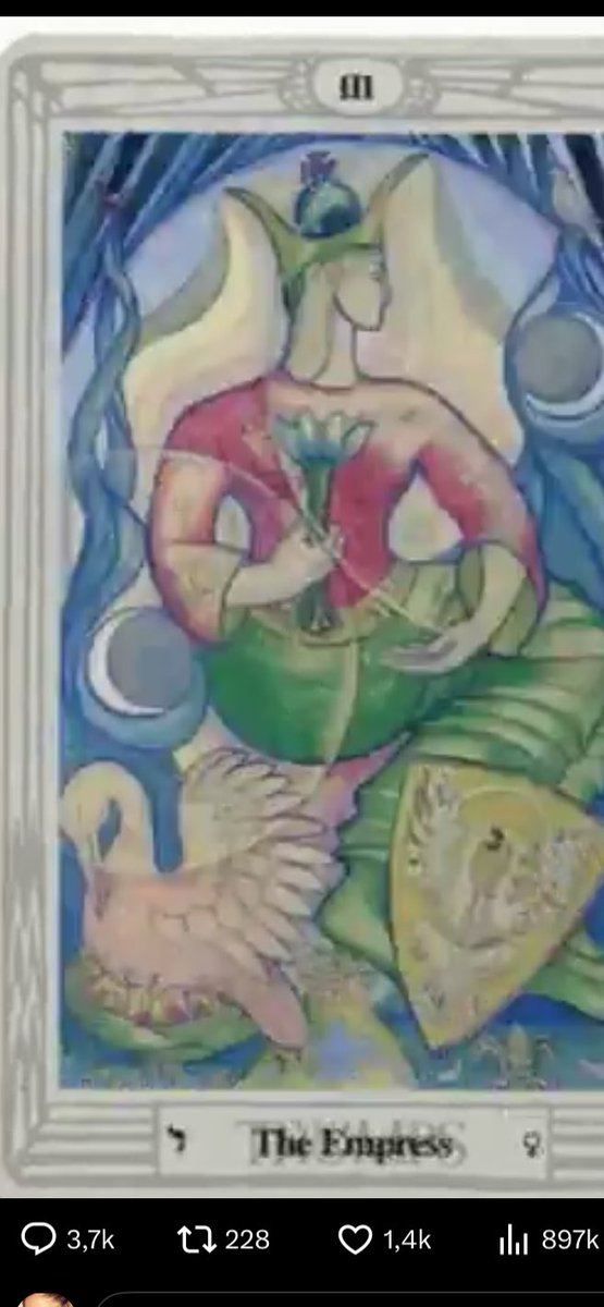 Amanda do Amaral tweet media