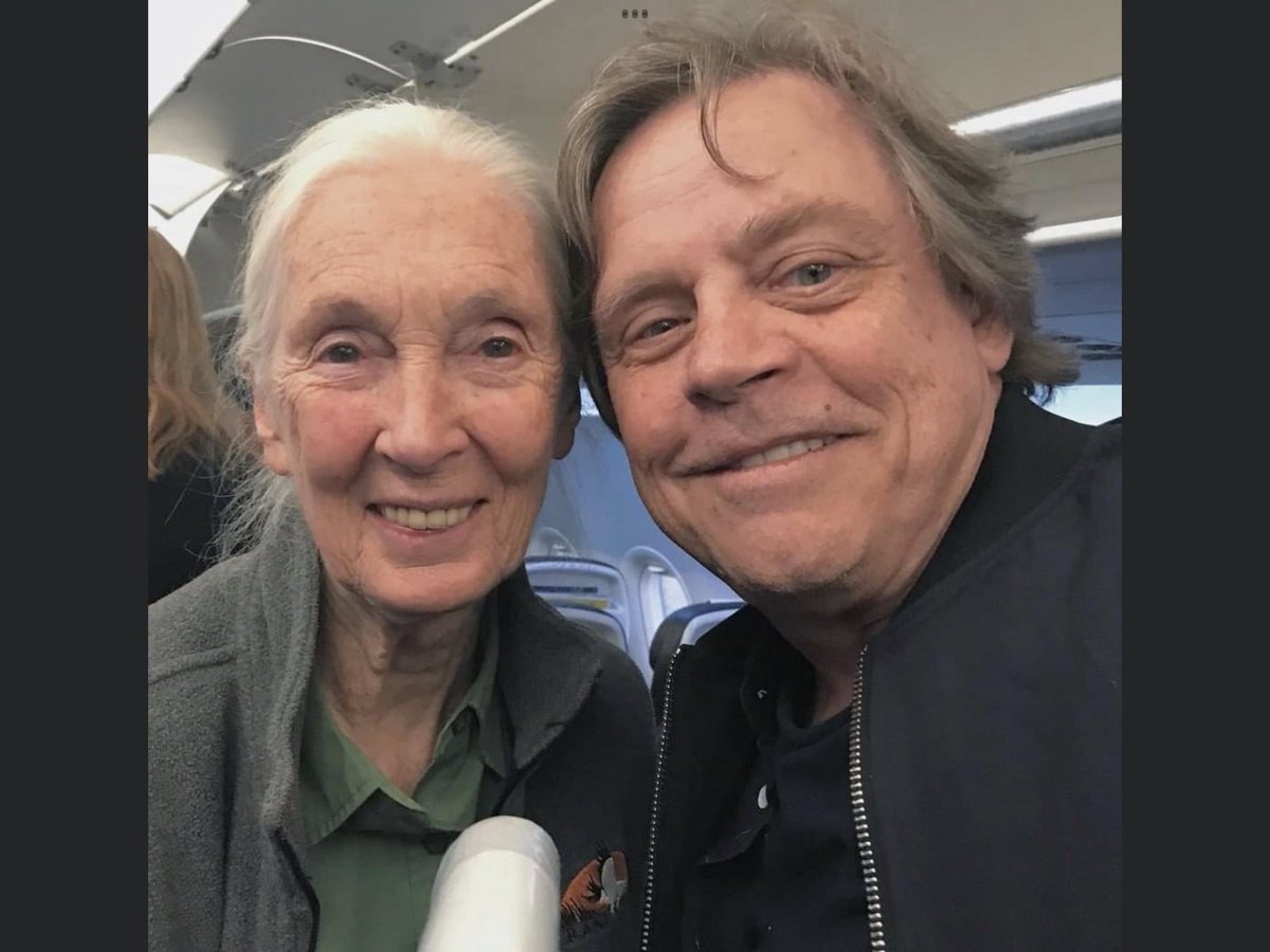 @MarkHamill @JaneGoodallInst The BEST of us !!!  Happy 90th birthday 🥳 to @JaneGoodallInst  Thank you for your positive impact on the world 🌎 #AmericanHeroes @MarkHamill 🌊🌊