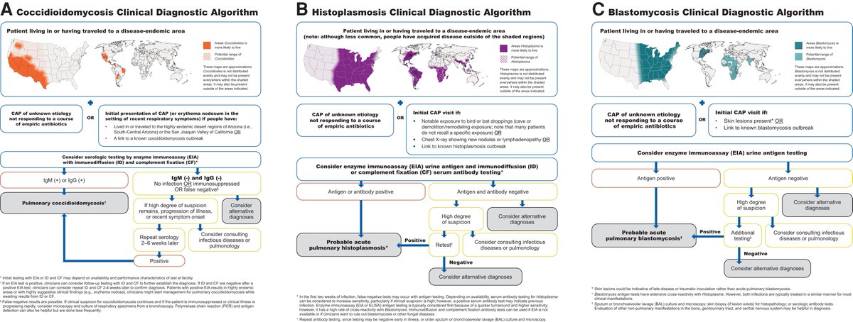 If you live in the U.S. and treat 'CAP,' we're probably not thinking about Histo enough. Histo is endemic to the ENTIRE U.S. Nice graphic here re diagnostic considerations for the Big 3 fungal pneumonias. academic.oup.com/cid/advance-ar…