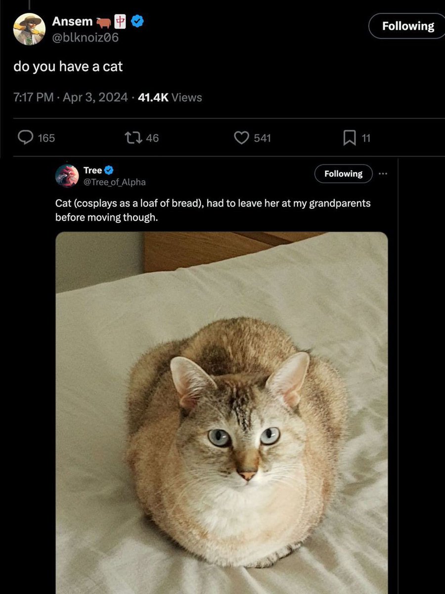 <a href="/blknoiz06/">Ansem</a> <a href="/Melt_Dem/">Meltem Demirors</a> <a href="/Polymarket/">Polymarket</a> Did u find out he’s cat name is $LOAF ?