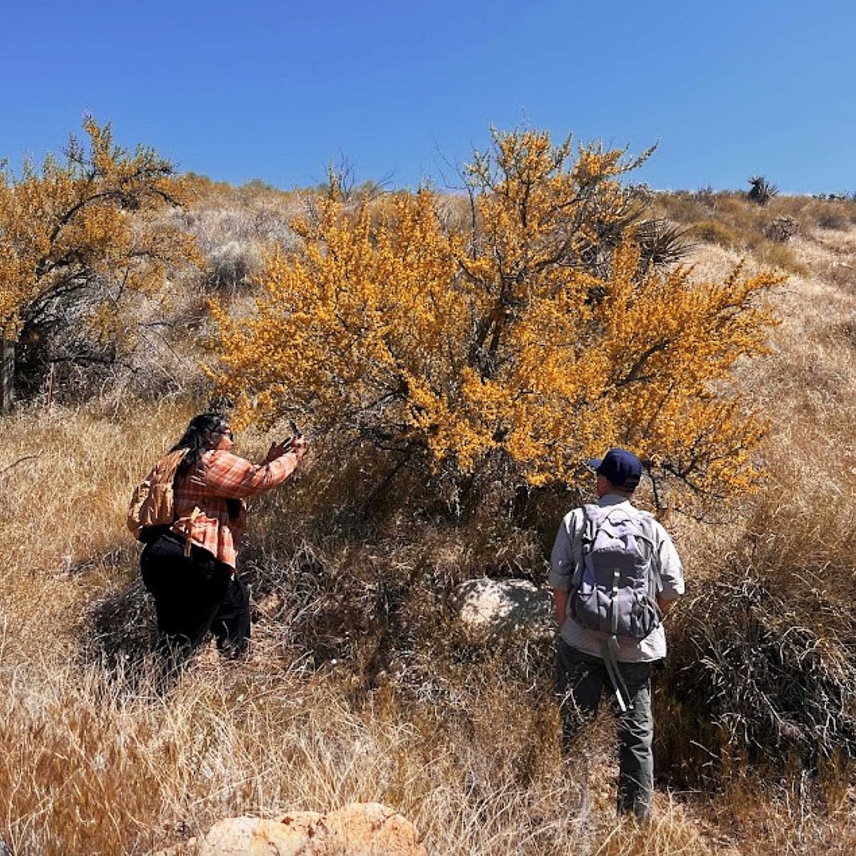 Last week, First Nations’ California Tribal Fund visited @NALCorg's recently acquired Hunat Paac Pihaaka (Bear’s Water), a 60-acre property in #MorongoValley, CA. Our staff toured the area and discussed NALC’s restoration plans. #HonorNativeLand