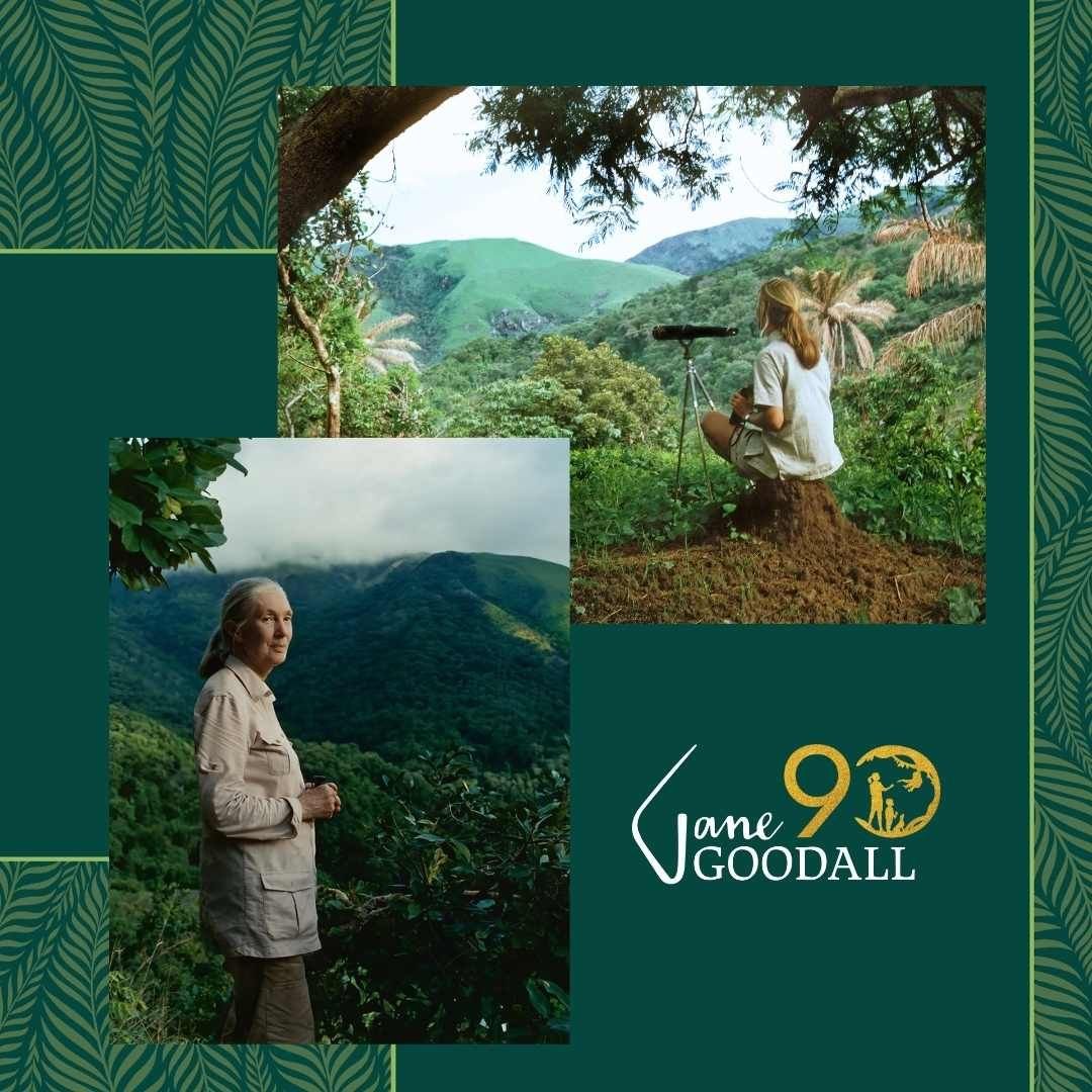 Happy 90th birthday to Dr. Jane Goodall from all of us at The Leakey Foundation! Thank you for all you do to make the world a better place! #GoodAllDay @JaneGoodallInst