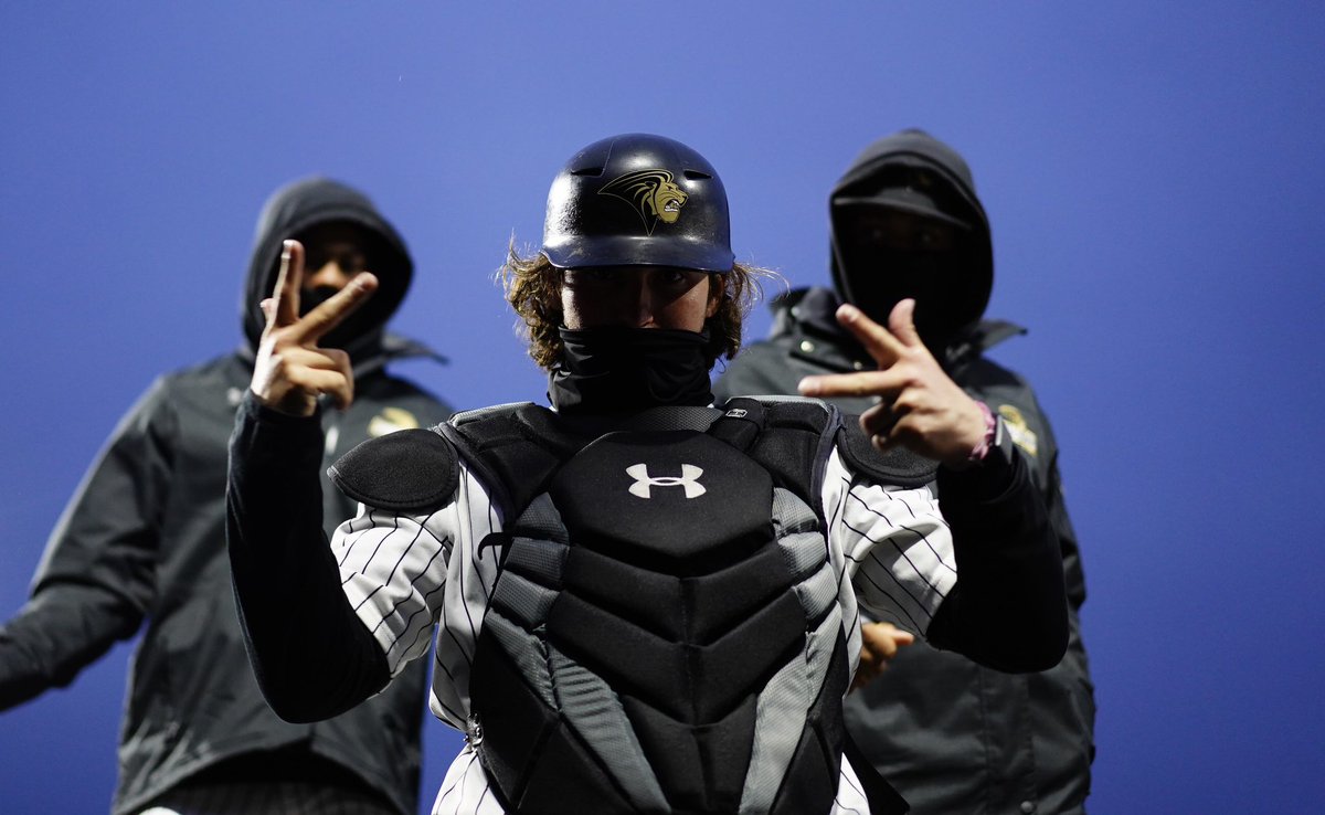 Lindenwood University Baseball tweet media