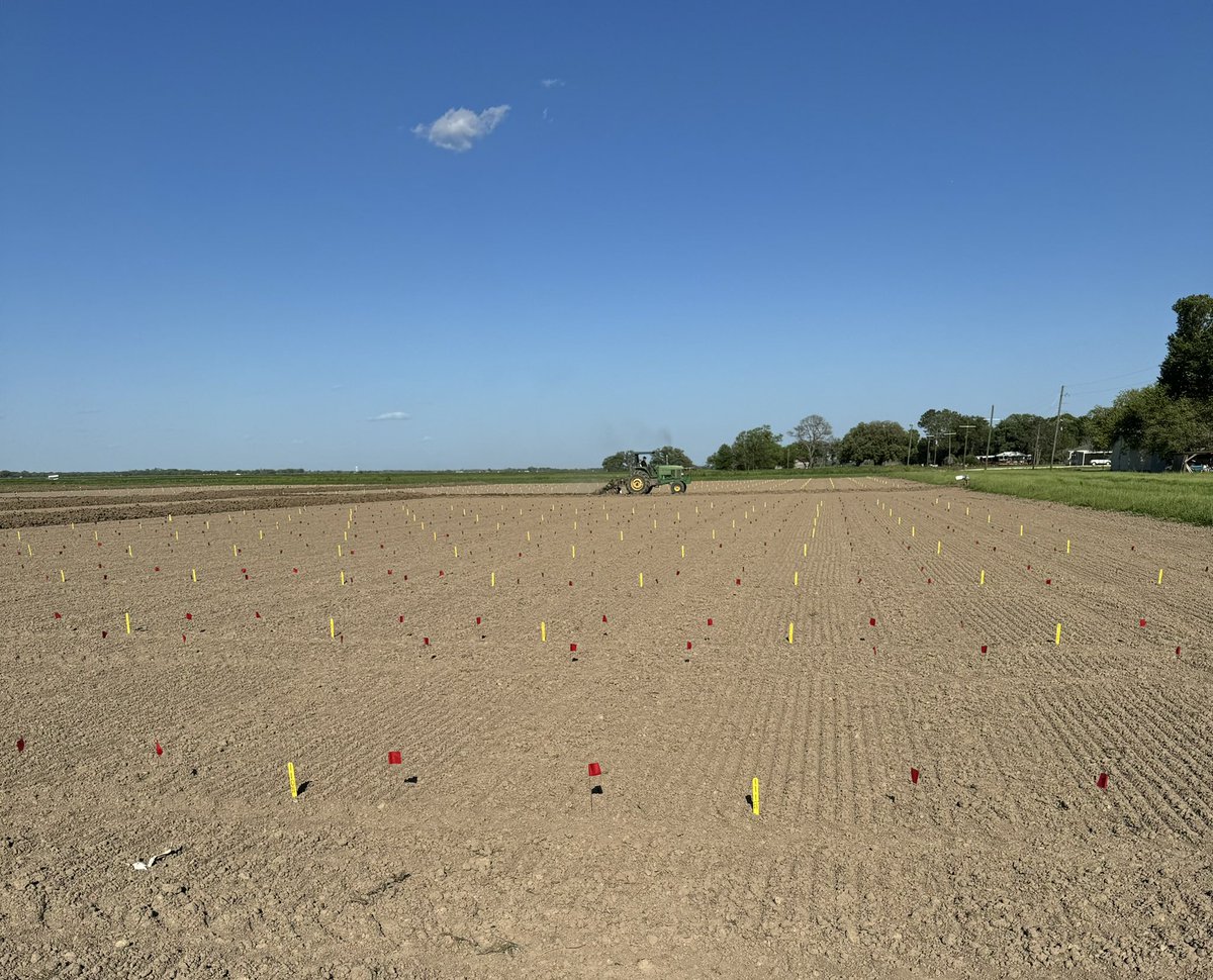 Connor Webster tweet media