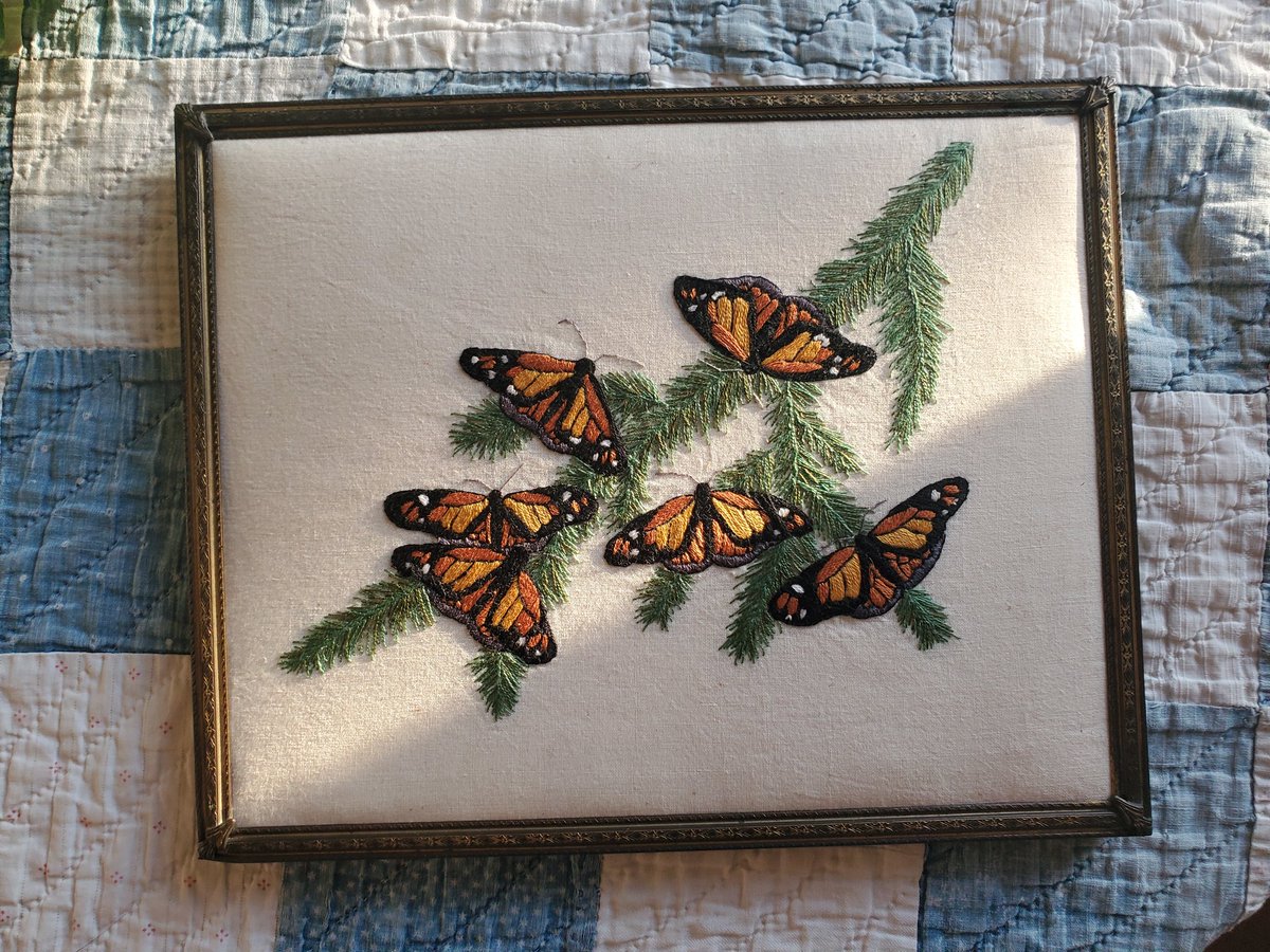 gracelbotany's tweet photo. Some fun herbarium and embroidery projects of Winter/Spring. 🍀 https://t.co/naIRMgd4er