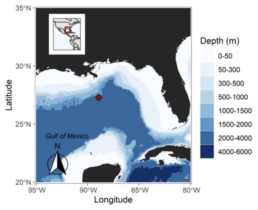 Prof. Katie Hinde tweet media