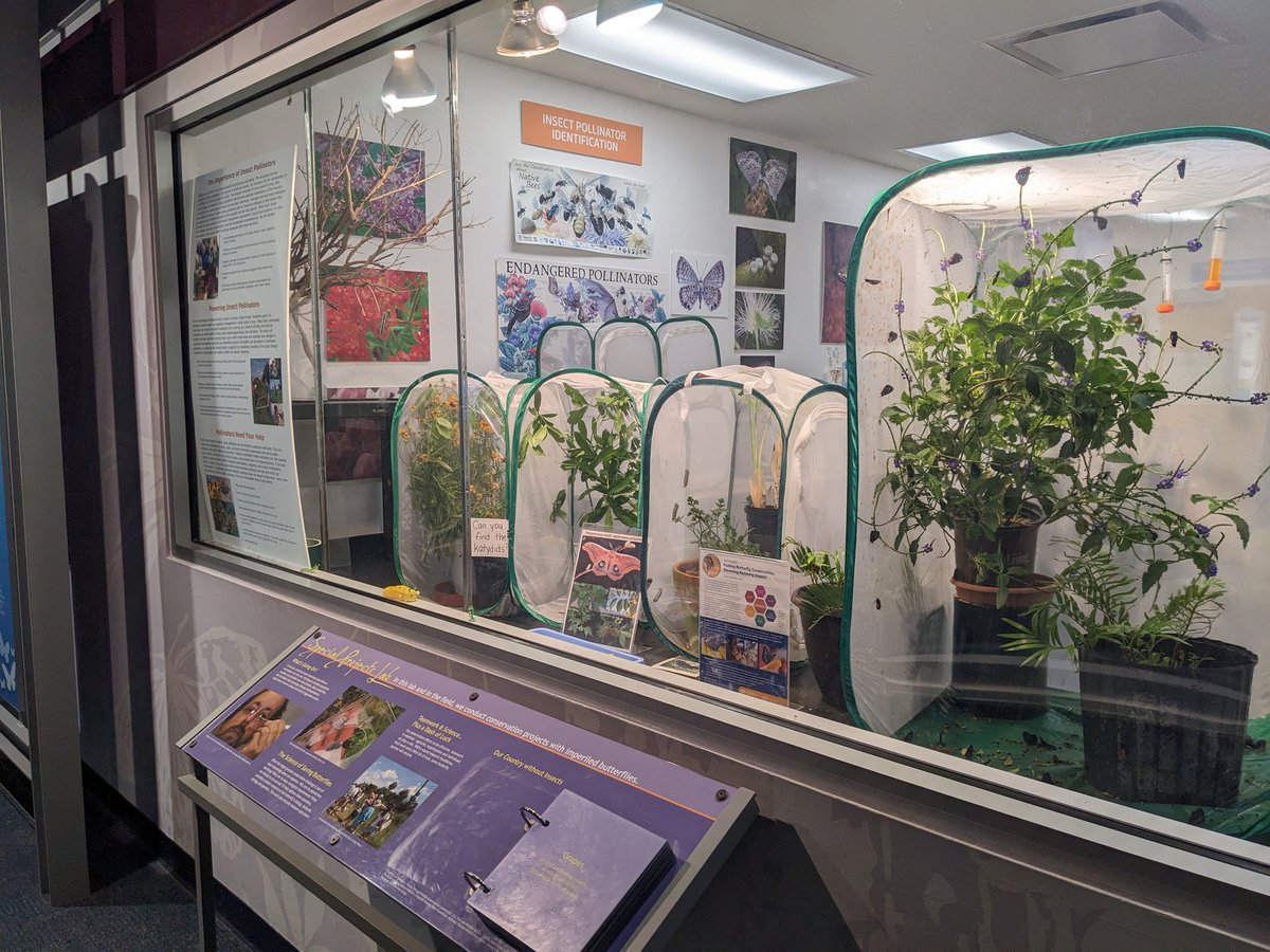 Jessica Linton tweet media