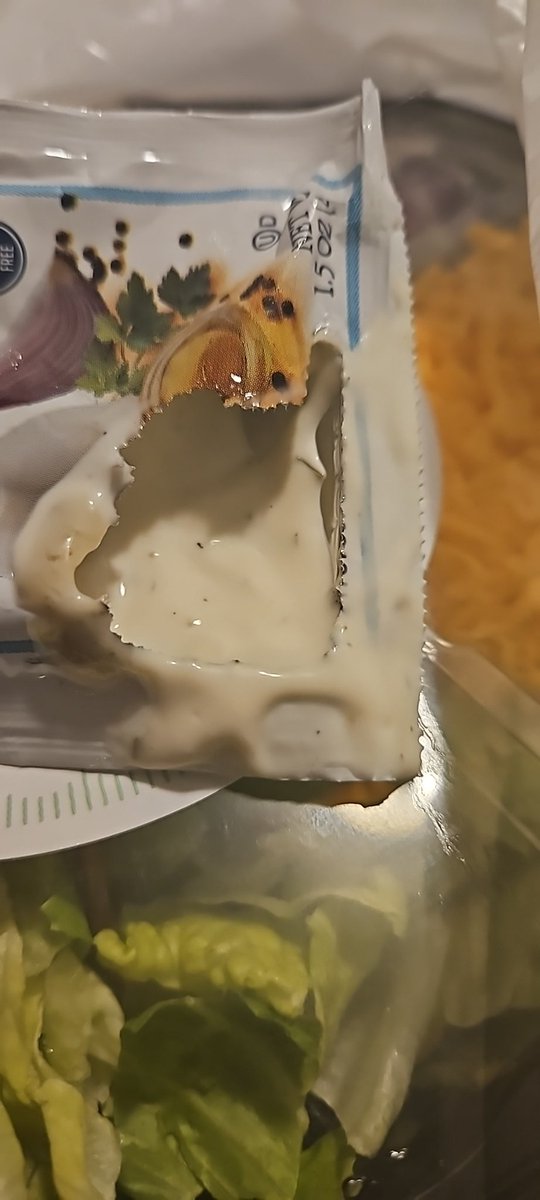 hackerceo's tweet image. Not only was my @dominos pizza delivery 2hrs late (I can manage with cold pizza) but it was sitting around waiting so long that a rodent jumped into the waiting salad and ate the dressing! A free pizza doesn&apos;t make it better, I want a refund! Roxbury Crossing store.