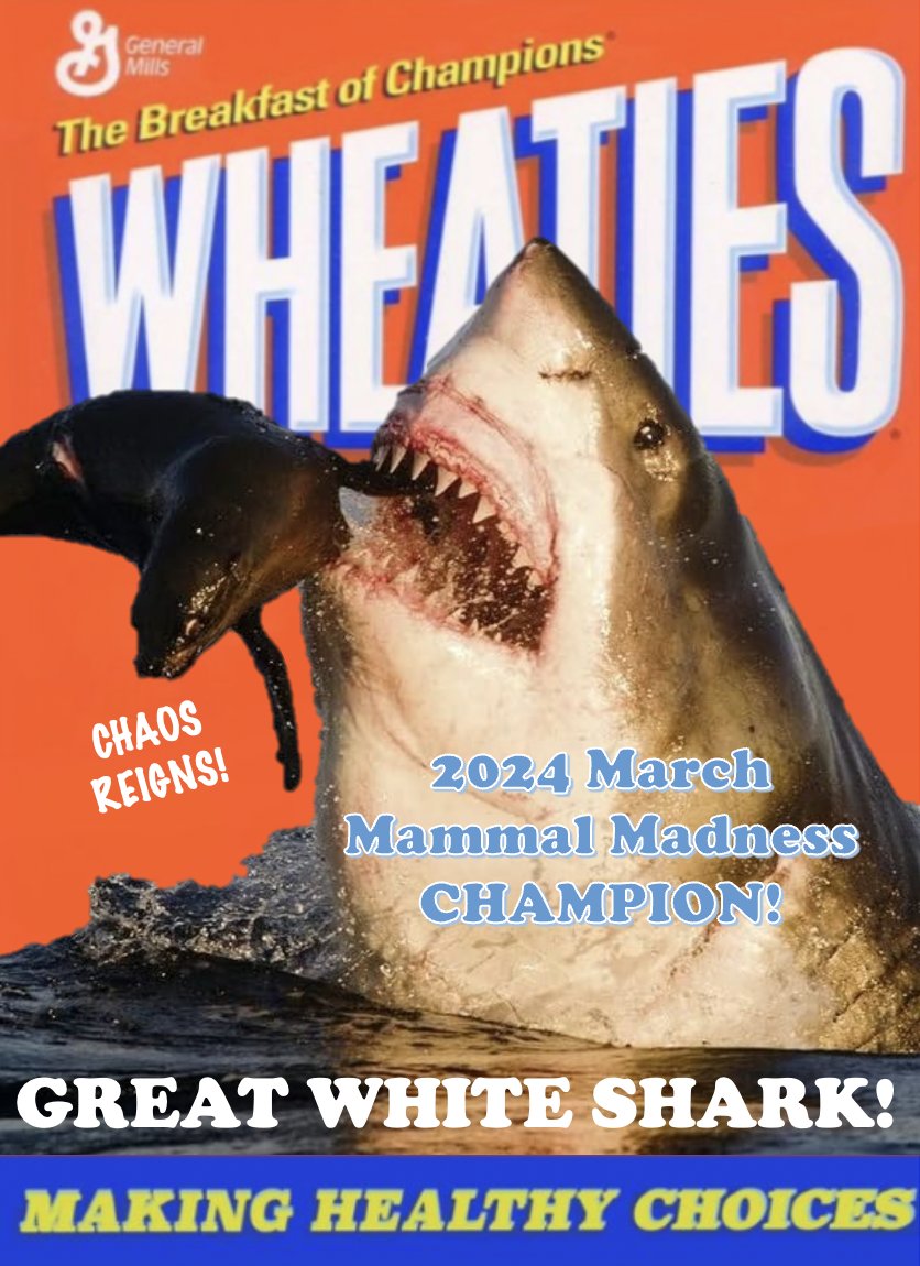 GREAT WHITE SHARK OUTLASTS GIANT SQUID!!!! GREAT WHITE SHARK IS #2024MMM CHAMPION!!!