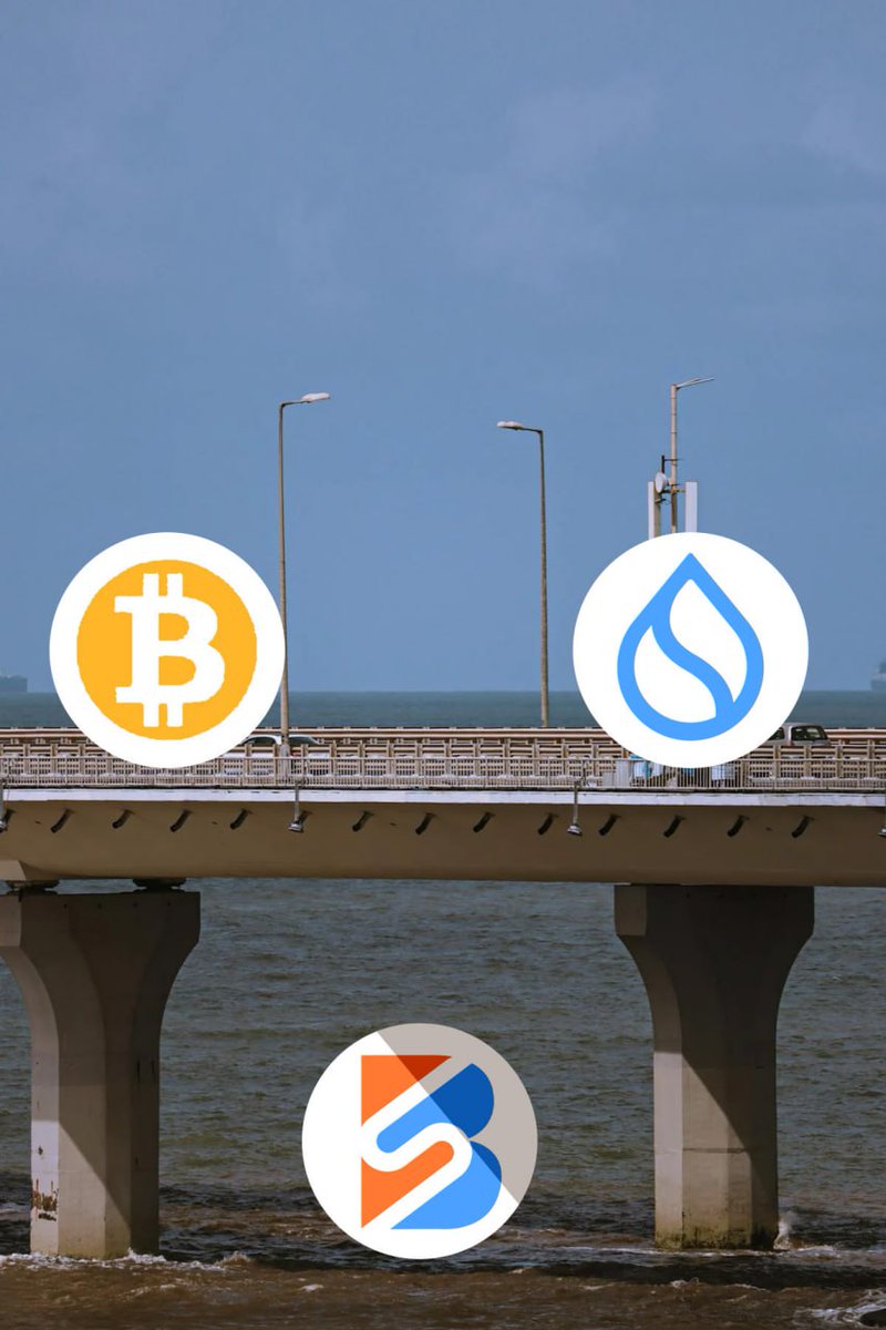 BitSui_Official's tweet photo. 🟠⛓🔵Acceleration BitSui, builder behind BTC network and Sui

#BitSui #Bitcoin  #Sui https://t.co/VE6qKXZ7Qs