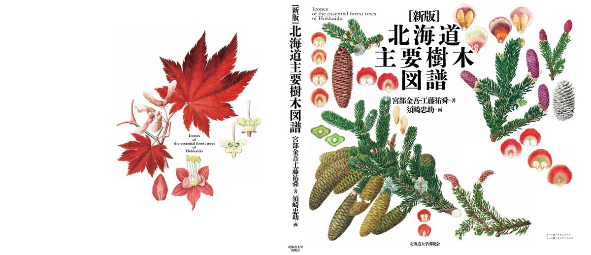 貴重 北海道主要樹木図譜 リトグラフ 額装品 北海道大学出版会 on X