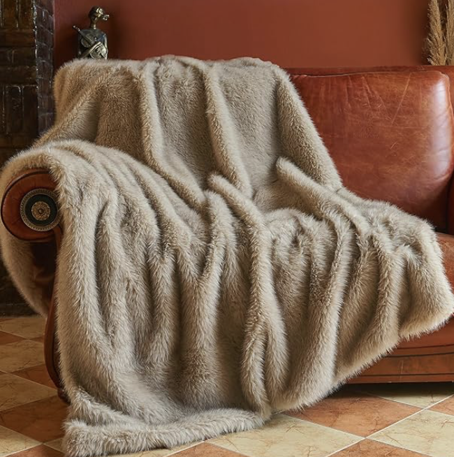 Sophie Vershbow tweet media