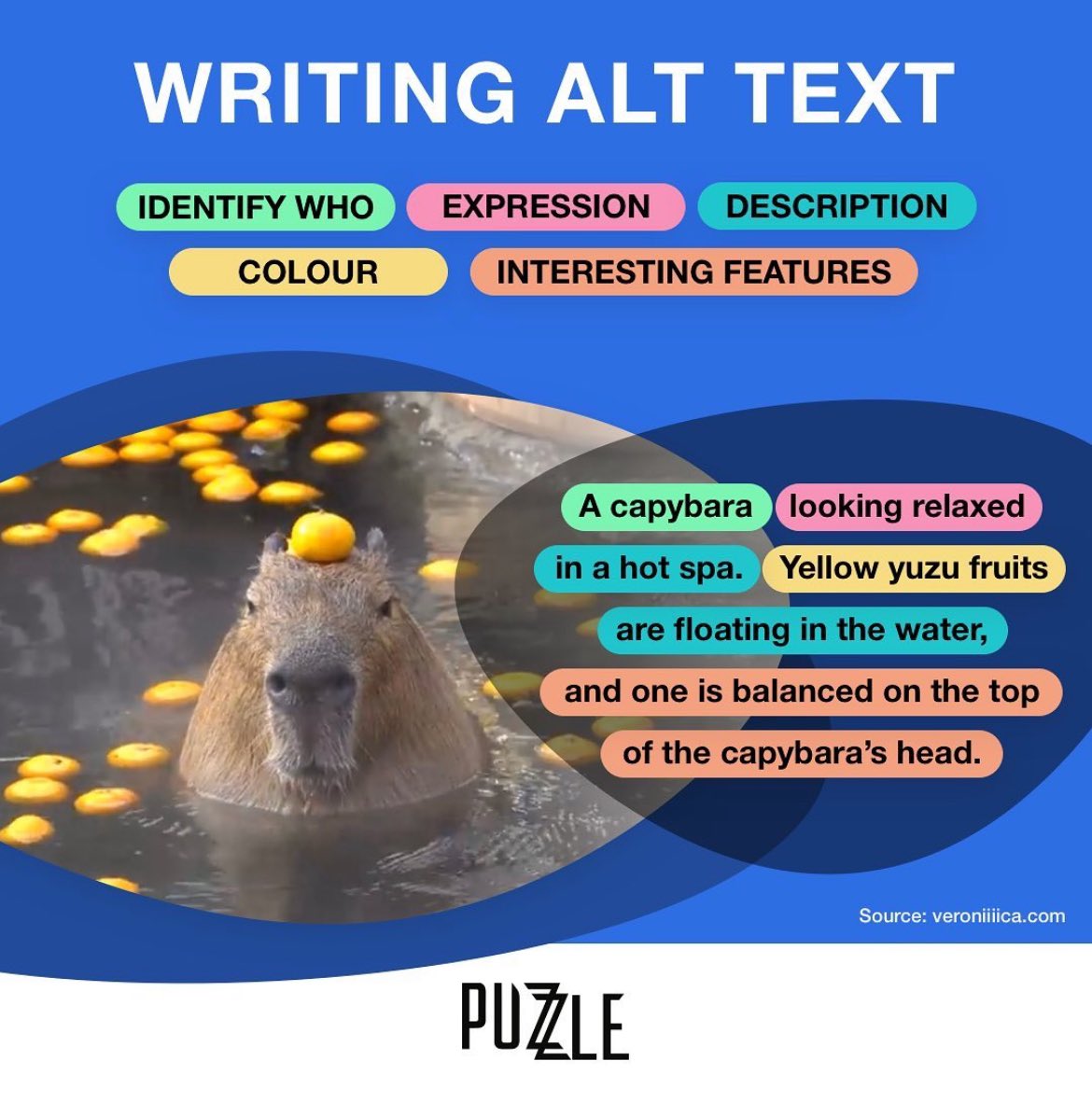 starryeyelated's tweet photo. I absolutely love this resource! It’s so adorable and informative!
@veron4ica
#AlternateText
#XIsForEveryone https://t.co/bb2MyuHo1c