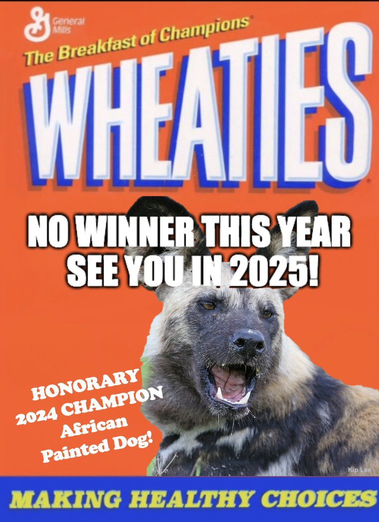 Everyone knows who the real 2024MMM is. #TeamPaintedDog
