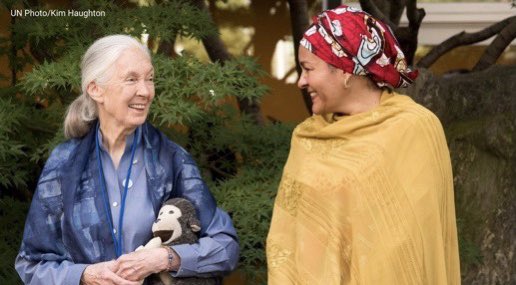 “What you do makes a difference, and you have to decide what kind of difference you want to make.' Happy birthday dear Jane (@JaneGoodallInst).