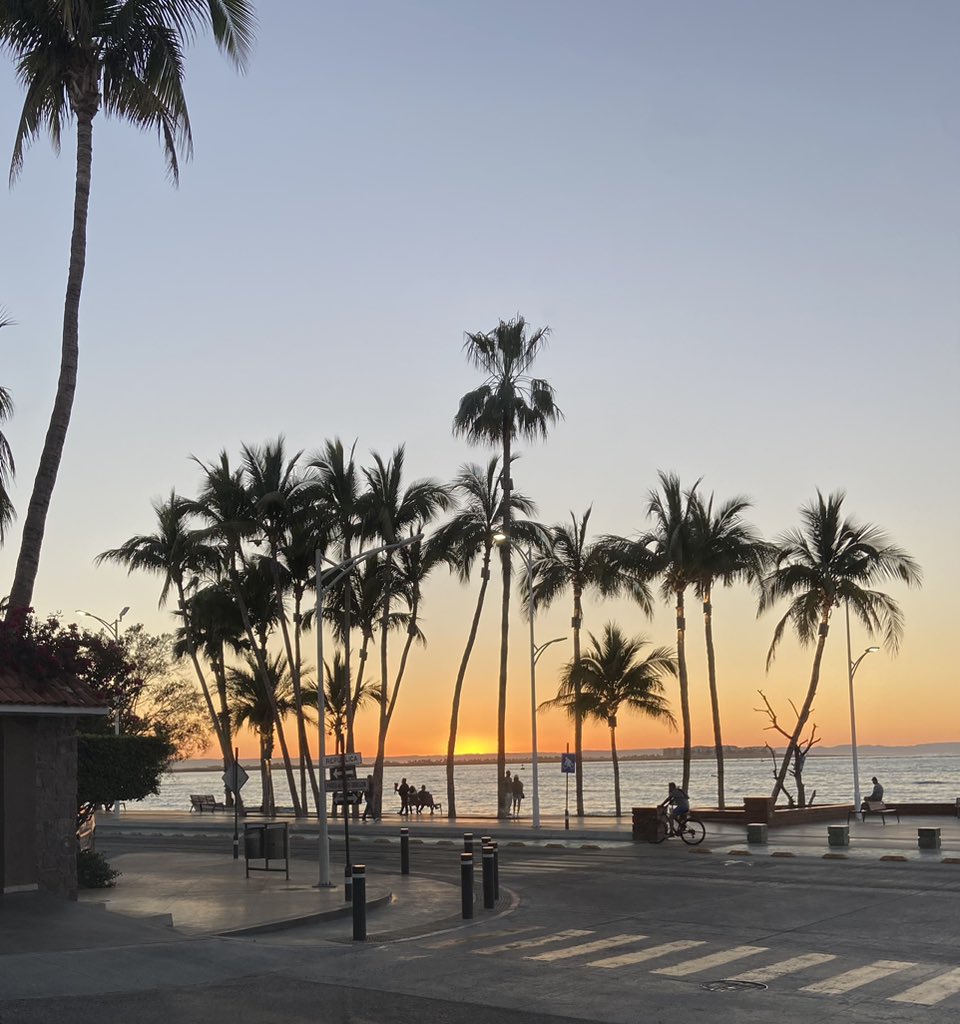 Recordar siempre que “ el agua seguirá siendo deliciosa mañana “ 🌊🌴