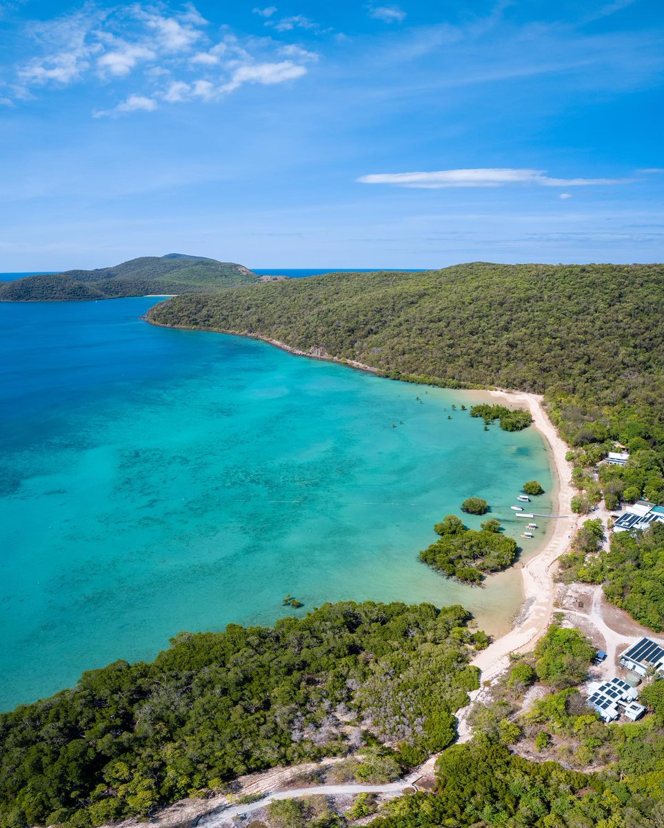 Did you know? Just off Townsville's coast lies the Greater Palm Island Group! 🏝️ With 16 islands, only 12 named! 🐠☀️💦 Explore the beaches on Curacoa Island or discover vibrant coral gardens at Pelorous Island & world-class diving spots at Orpheus Island! 🌴